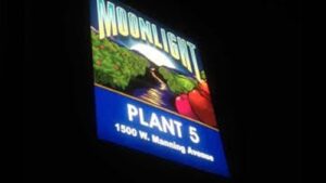 Backlit signs - printed 11