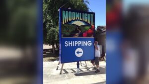 Backlit signs - printed 15