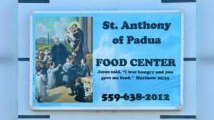 Backlit signs - printed 2