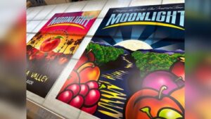 Backlit signs - printed 7