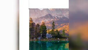 Banners - Fabric Banners (1)