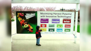 Banners - single sided (1)_0003_Banners - single sided (32)