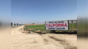 Campaign Banners (3)