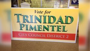 Campaign Signs - Large size (2)