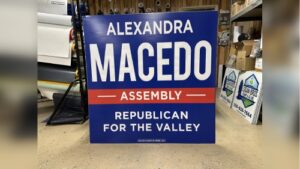 Campaign Signs - Large size (4)