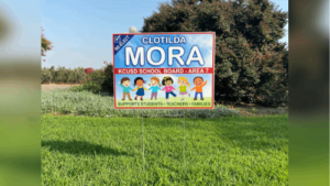 Campaign Yard Signs (8)